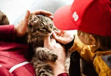 70 citations d’animaux célébrant leur rôle dans nos vies