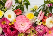 La légende de Martisor – L’histoire de Martisor et Baba Dochia