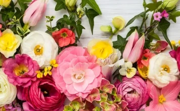 La légende de Martisor – L’histoire de Martisor et Baba Dochia