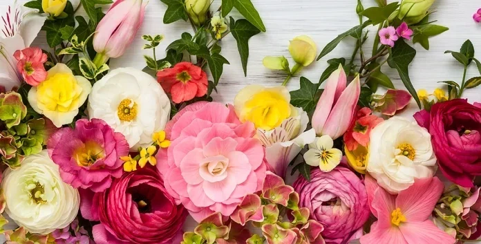 La légende de Martisor – L’histoire de Martisor et Baba Dochia