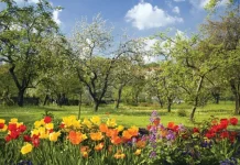 Les citations les plus originales sur le printemps et sa beauté